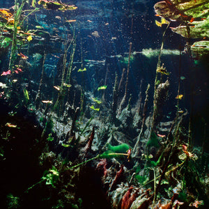 Narelle Autio, Untitled #5, 2012, from Waterhole, type C print, 82 x 120 cm
