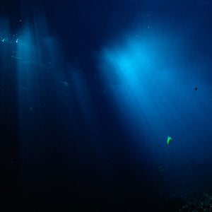 Narelle Autio, Untitled #9, 2012, from Waterhole, type C print, 82 x 120 cm