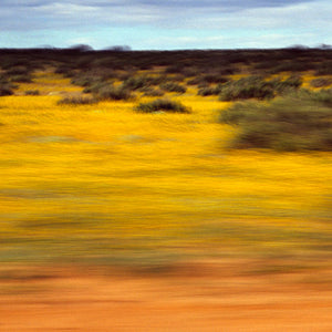 Narelle Autio, Wild Flowers, 2003-13, from To the Sea, pigment print, 67 x 98 cm, ed. of 3
