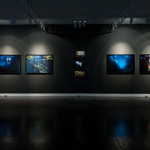 Narelle Autio’s ‘Waterhole’ at Hugo Michell Gallery, 2012