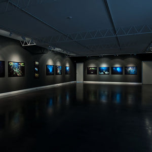 Narelle Autio’s ‘Waterhole’ at Hugo Michell Gallery, 2012