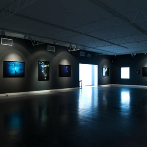 Narelle Autio’s ‘Waterhole’ at Hugo Michell Gallery, 2012