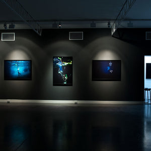 Narelle Autio’s ‘Waterhole’ at Hugo Michell Gallery, 2012