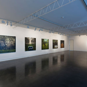 Richard Lewer’s ‘Believe It or Not’ at Hugo Michell Gallery, 2015