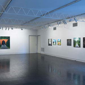 Richard Lewer’s ‘Believe It or Not’ at Hugo Michell Gallery, 2015