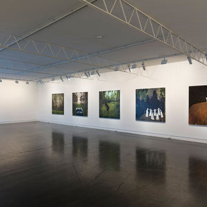 Richard Lewer’s ‘Believe It or Not’ at Hugo Michell Gallery, 2015