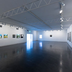 Richard Lewer’s ‘Believe It or Not’ at Hugo Michell Gallery, 2015