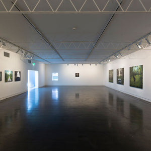 Richard Lewer’s ‘Believe It or Not’ at Hugo Michell Gallery, 2015