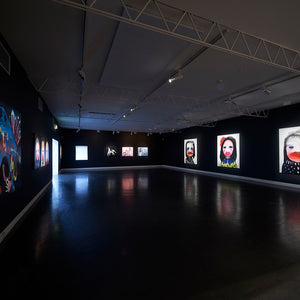 Sally Bourke’s The Quick Brown Fox at Hugo Michell Gallery 2019