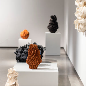 Sam Gold in ‘Primavera: Young Australian Artists’ at Museum of Contemporary Art Australia, 2021-22