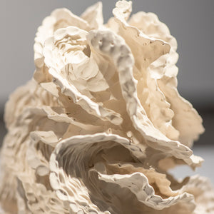 Sam Gold in ‘Primavera: Young Australian Artists’ at Museum of Contemporary Art Australia, 2021-22