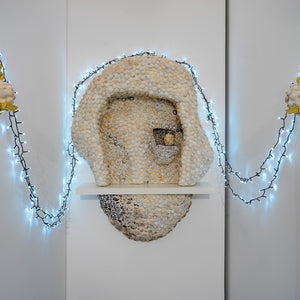 Sera Waters, Nothing to Sea (The Growth of Ivy), 2017, Found shells, shell shelves and lights, dimensions variable