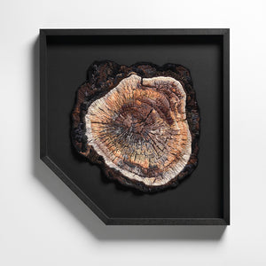 Sera Waters, Twilight Stump, 2020-21, wool on canvas, 64 x 63 cm