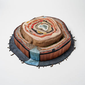 Sera Waters, South Australian cross-sections (in three parts): mega-fauna, red stump and finite vastness, 2013, hand-dyed linen, beads, felt, cotton, velvet, kangaroo fur, wood veneer, trims, card, stuffing, string, and sequins, 80 x 80 x 25 cm