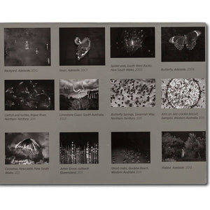 Trent Parke 'The Black Rose' greeting cards; black-and-white