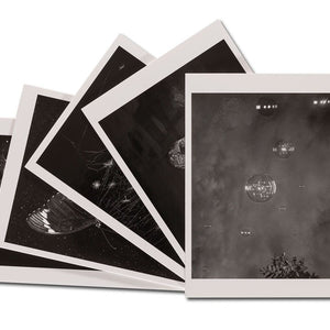 Trent Parke 'The Black Rose' greeting cards; black-and-white