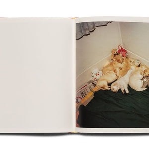 Trent Parke 'The Christmas Tree Bucket' publication, signed