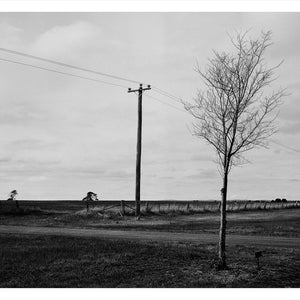 Trent Parke, ‘Private George Walker, 671, 14th Battalion A.I.F., The Avenue of Honour, Ballarat, Victoria, Australia’, 2014, from ‘WWI Avenue of Honour’, pigment print, 80 x 60 cm, ed. of 3