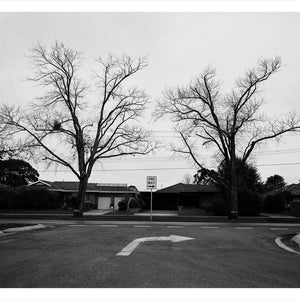 Trent Parke, ‘Private Arthur Treve Marsh, 616, 14th Battalion A.I.F., The Avenue of Honour, Ballarat, Victoria, Australia’, 2014, from ‘WWI Avenue of Honour’, pigment print, 80 x 60 cm, ed. of 3
