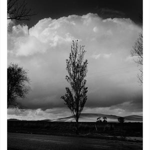 Trent Parke, ‘Private George Henry Allen, 3006, 8th Battalion A.I.F., The Avenue of Honour, Ballarat, Victoria, Australia’, 2014, from ‘WWI Avenue of Honour’, pigment print, 80 x 60 cm, ed. of 3