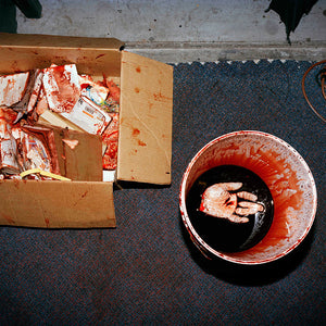 Trent Parke, Backstage, Drama Theatre, 2008 – 2009, from Please step quietly, pigment print, 55 x 45 cm, ed. of 5
