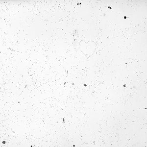 Trent Parke, Untitled (pin board), 2008 – 2009, from Please step quietly, pigment print, 45 x 55 cm, ed. of 5