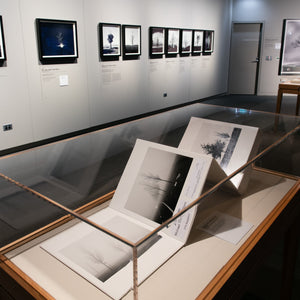 WW1 Avenue of Honour Exhibition at Australian War Memorial by Trent Parke. Photography by Daniel Spellman