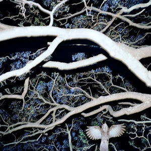 Trent Parke 'The Christmas Tree Bucket' greeting cards