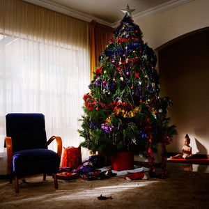 Trent Parke 'The Christmas Tree Bucket' greeting cards