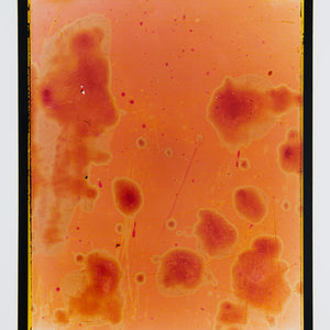 Justine Varga, Carry on, 2015, from Accumulate, type C hand print, 97 x 78 cm, ed. of 5