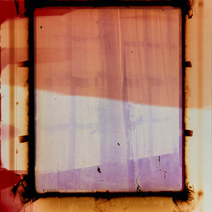Justine Varga, Lattice #2, 2017-18, from Areola, chromogenic photograph, 165.5 x 127 cm, unique
