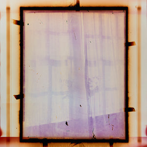 Justine Varga, Lattice #3, 2017-18, from Areola, chromogenic photograph, 165.5 x 127 cm, unique