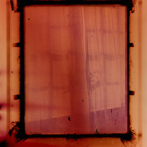 Justine Varga, Lattice #4, 2017-18, from Areola, chromogenic photograph, 165.5 x 127 cm, unique