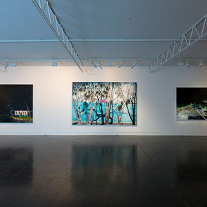 William Mackinnon’s ‘Internal Weather’ at Hugo Michell Gallery, 2016