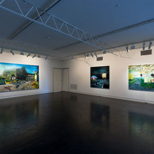William Mackinnon’s ‘Internal Weather’ at Hugo Michell Gallery, 2016