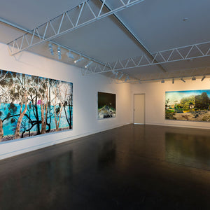 William Mackinnon’s ‘Internal Weather’ at Hugo Michell Gallery, 2016