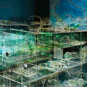 Janet Laurence, ‘Deep Breathing (Resuscitation for the Reef)’, 2015, mixed media installation, for UNFCCC/COP21 at the Muséum national d’Histoire naturelle, Paris