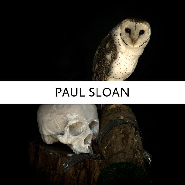 Shop - Paul Sloan