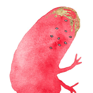 Pip Ryan, Red Potato, 2026, watercolour, gouache, pencil on paper, 12.5 × 7.5 cm