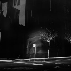 Trent Parke, Untitled #81, Sydney, New South Wales, 2002, silver gelatin print, 36 x 55 cm; silver gelatin print, 116 x 172 cm, ed. of 10