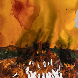 WHAT THEY DIDN'T TEACH ME AT SCHOOL: RICHARD LEWER - THE WAIKATO WARS