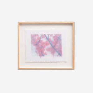 Cassie Thring, A Gentle Reminder, 2024, monotype print on Japanese cotton, 46.5 x 54 cm