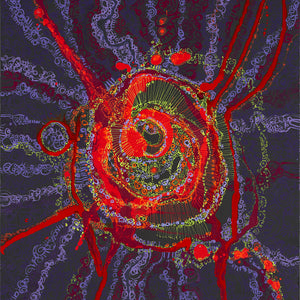 Zaachariaha Fielding, Untitled (496-25AS), 2025, acrylic on linen, 152.5 x 122 cm
