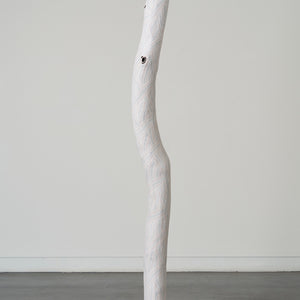 WÄŊA AS MUSE