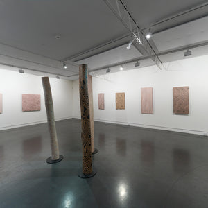 Garawan Waṉambi in 'Dhulmu - Deep' at Hugo Michell Gallery, 2023