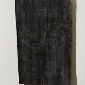 Djirrirra Wunuŋmurra, Buyku (1891), 2023, natural pigment with synthetic polymer fixative on Stringybark, 103 x 70.5 cm