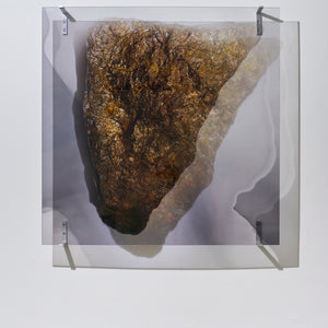 Janet Laurence, A Life Force(installation view), 2025, Duraclear on acrylic & stainless steel brackets, 100 x 100 x 9.5 cm, edition of 3 + 1 AP