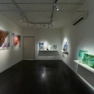 Janet Laurence's 'Garden for an alchemist' at Hugo Michell Gallery, 2025.