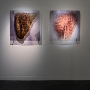 Janet Laurence's 'Garden for an alchemist' at Hugo Michell Gallery, 2025.