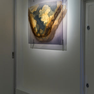 Janet Laurence's 'Garden for an alchemist' at Hugo Michell Gallery, 2025.